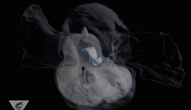 1609385425549904.png image.png