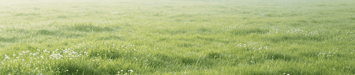 360截图20260620093556.png